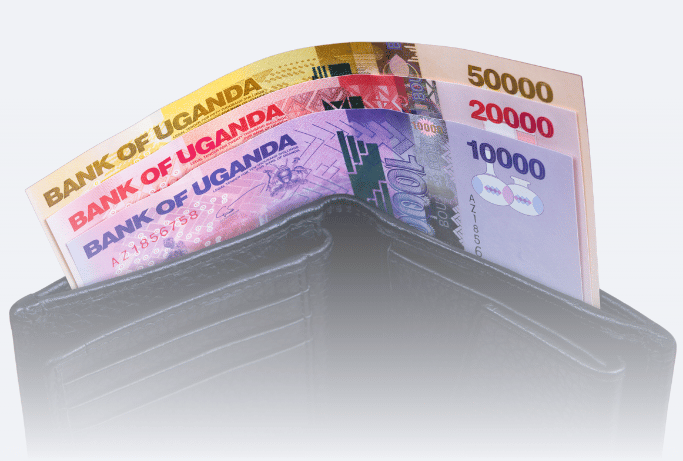 Working Capital Loans