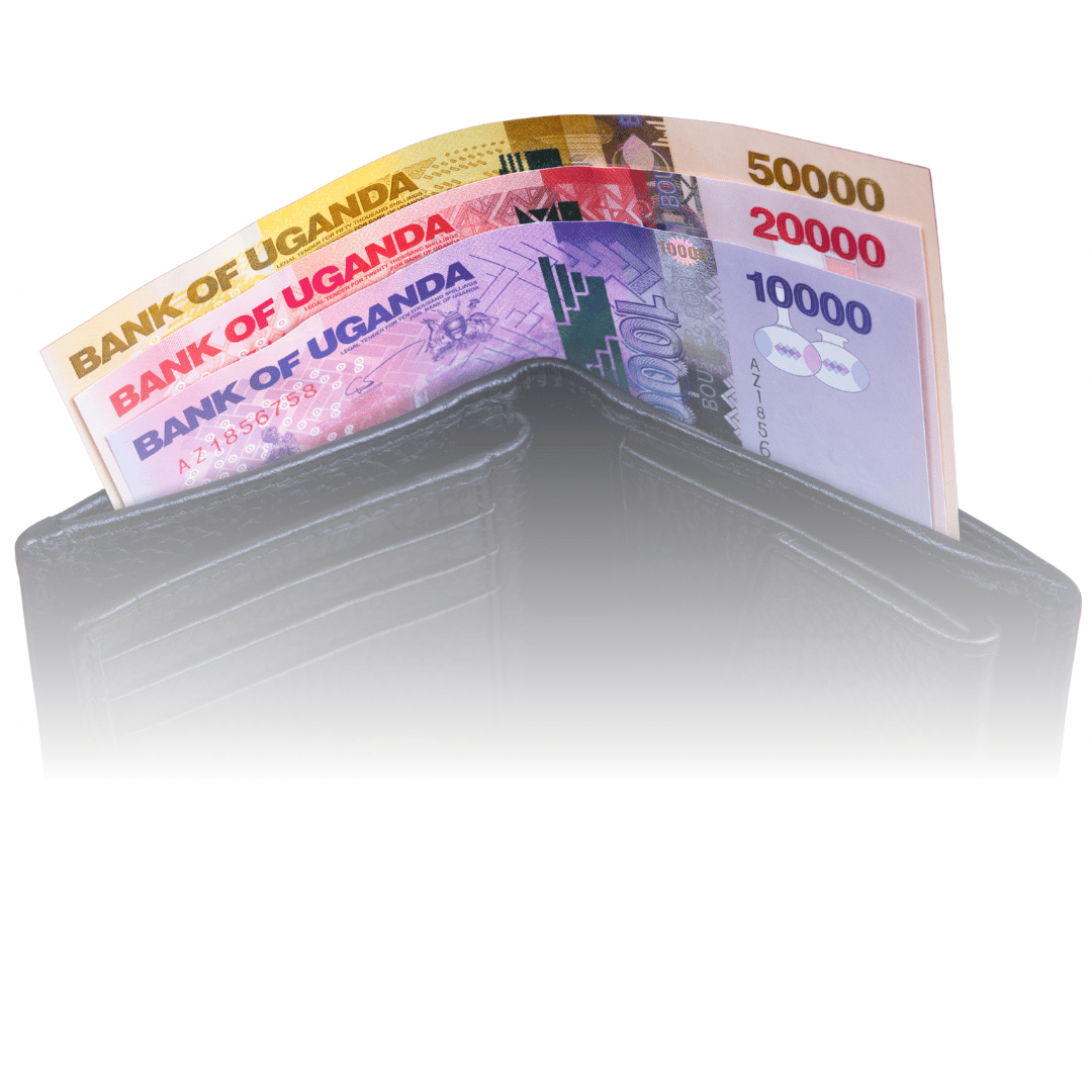 Working Capital Loans